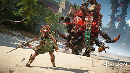PS5 HORIZON FORBIDDEN WEST