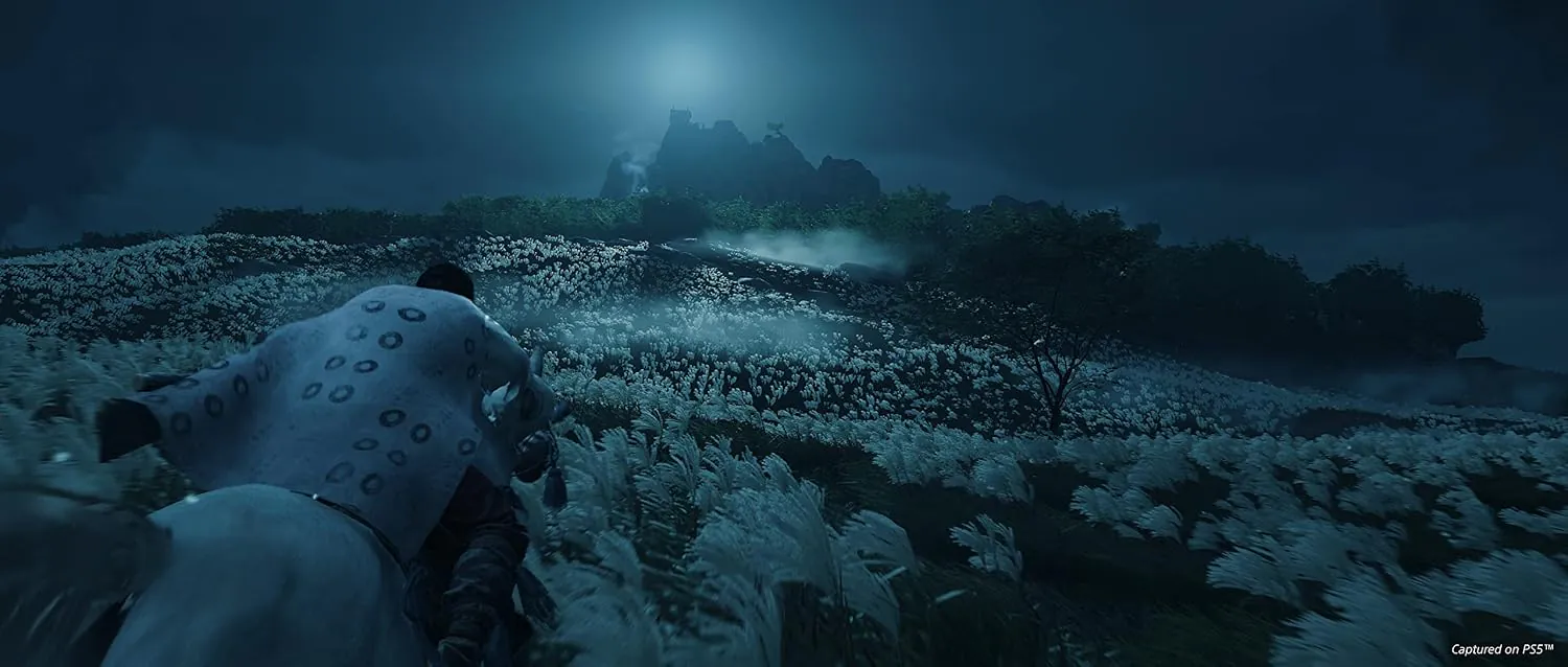 Ghost of Tsushima Director's Cut image