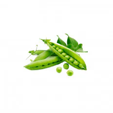 Green Beans thumbnail