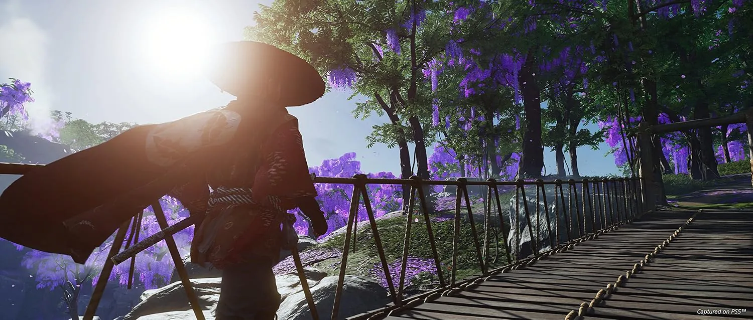 Ghost of Tsushima Director's Cut image