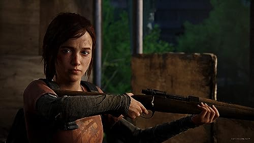 PS5 THE LAST OF US image